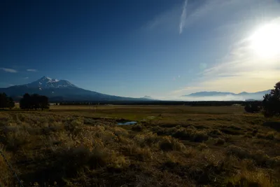 DSC_3010 (Large).JPG